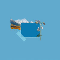 United States Trump GIF by Crooked Media