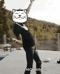 Dance Cat GIF by ShiroNeko