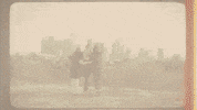 polyvinylrecords friends band city memory GIF