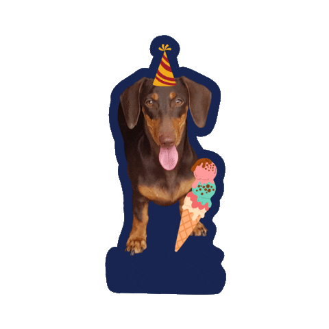 Happy Birthday Dog Sticker by Awesome Pawsome Treats