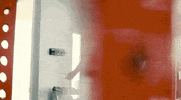 Sport Mma GIF by UFC