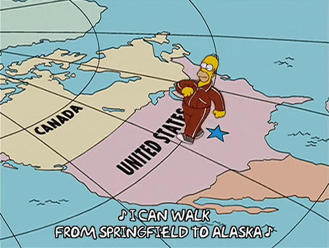 homer simpson GIF