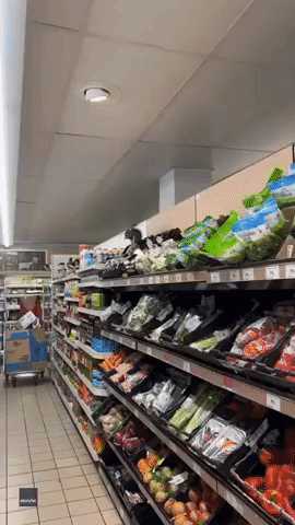 Sneaky Squirrel Steals Snacks in South London Supermarket