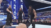 the shield wrestling GIF by WWE