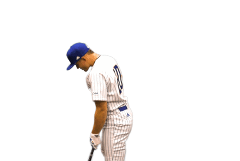 College Sports Fun Sticker by Delaware Blue Hens