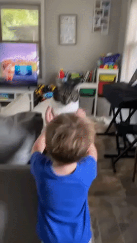 Family Cat Not in the Mood for Little Boy's Affection