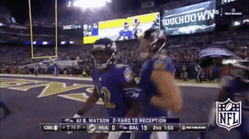 GIF by NFL