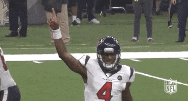 Houston Texans Football GIF by NFL