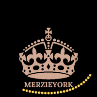 Merzieyork navidad merzieyork merziebox merzichismas GIF