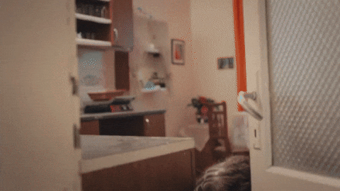 Novela Kadin GIF by RECORD