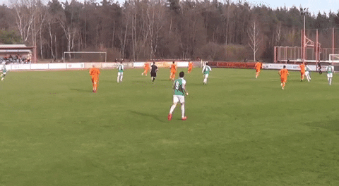 michalraka giphyupload GIF
