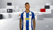 Hertha Bsc Reaction GIF by Bundesliga