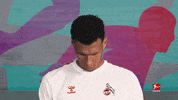 Davie Selke Football GIF by Bundesliga