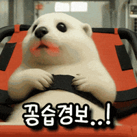 whiteotter9291 수달 낭만백수달 백수달 dreamy white otter GIF
