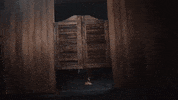 Pump Up Celebration GIF by Professional Bull Riders (PBR)