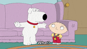 Comedy What GIF by Family Guy