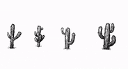 alex g brite boy GIF by Domino Recording Co.