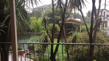 Rain Falls in Tauranga as Cyclone Cook Nears