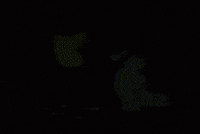 Charlie Brown Halloween GIF by Peanuts