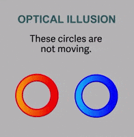 Circle Moving GIF
