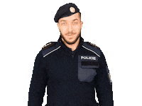 Police Smile Sticker by Policie České republiky
