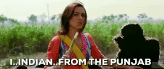 bollywood india punjabi rani mukerji dil bole hadippa GIF