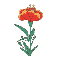 Austin Sticker by Bunkhouse Group