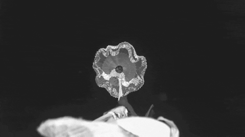 black and white mars GIF by NASA