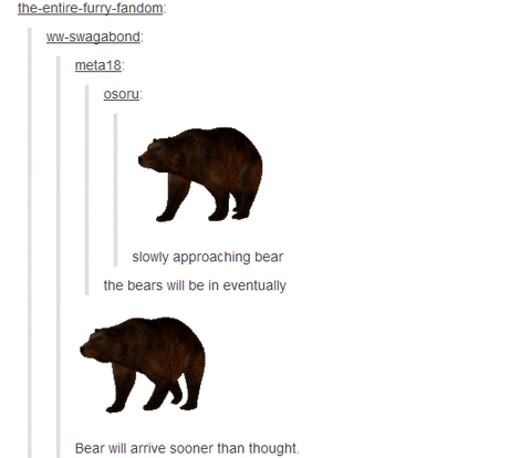 brown bear GIF by Testing 1, 2, 3