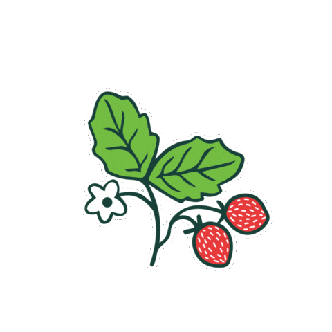 acti-sol gardening strawberries berries organicgarden Sticker