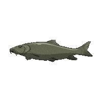 Pesca Barb Sticker by Jolly Fishing