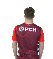 Sport Bundesliga Sticker by 1. VFL Potsdam