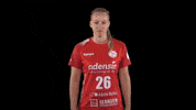 Hbf GIF by Handball Bundesliga Frauen