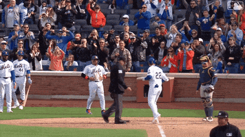 Celebrate Home Run GIF by New York Mets