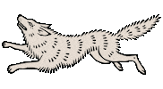 Wolf Explore Sticker by Cascada.cc