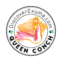 Beach Shell Sticker by papayahouseexuma