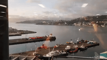 Office Workers Spot Whale Frolicking in Wellington Harbour