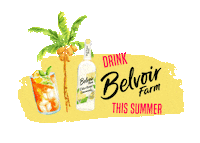 Fun Summer Sticker by Belvoir Lemonades & Cordials