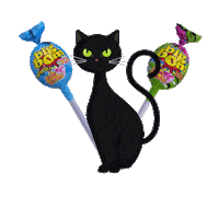 Happy Cat Sticker by Americandy