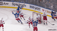 Ice Hockey Hug GIF by NHL