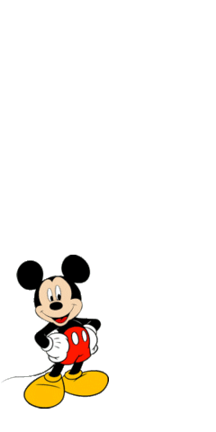 disneyland STICKER