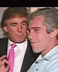 Jeffrey Epstein GIF by Respective