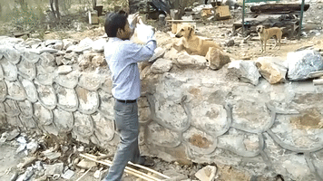 Kind-Hearted Man Feeds Homeless Dogs in South Delhi
