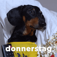 Germany Thursday GIF by Sealed With A GIF