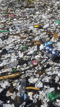 Earth Day GIF by 4ocean