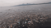 Earth Day GIF by 4ocean