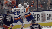 Ice Hockey Sport GIF by NHL