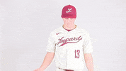 Jordan Yoder GIF by Lafayette Leopards
