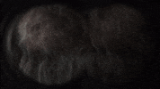 jack links hello GIF by ADWEEK