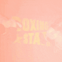 Boxinggame GIF by Boxing Star